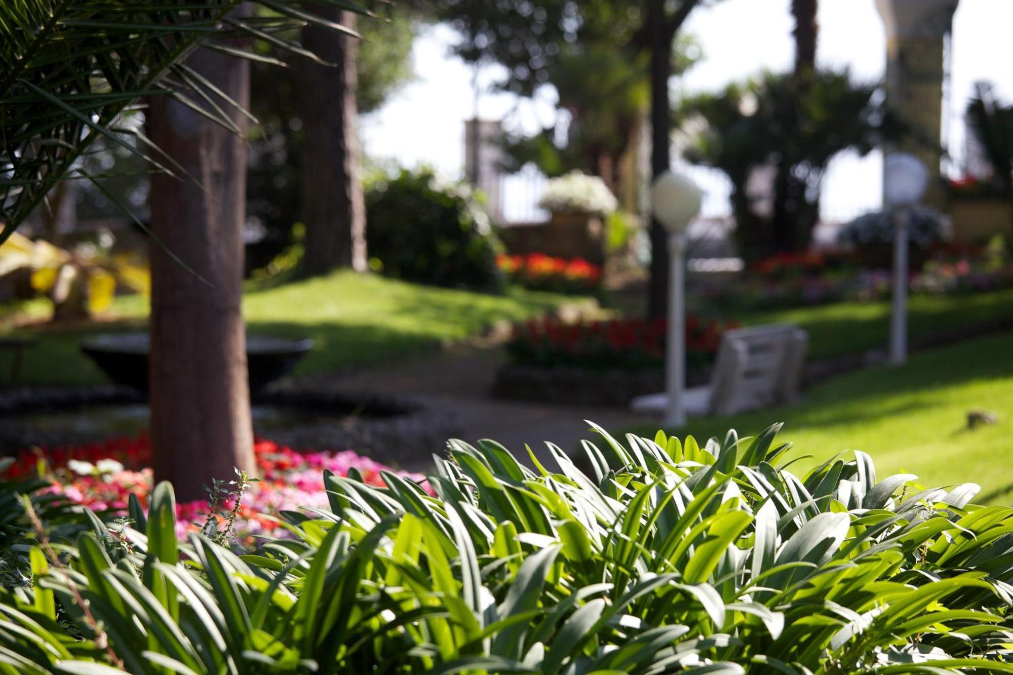 Hotel San Michele Anacapri  Esterno foto